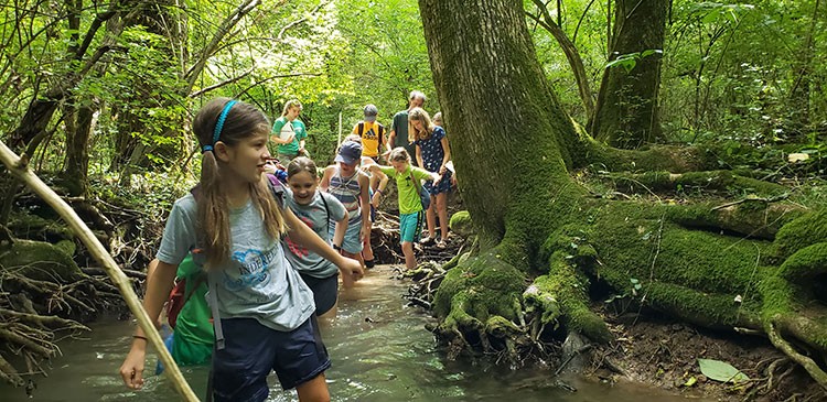 Warner Park Naturalist Camp