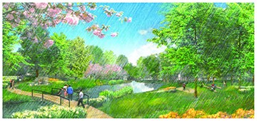 Centennial Park Drawn Cover