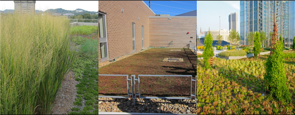 Collage of three photos showing three examples of the Green Roof concept