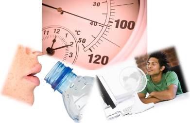 Heat Solutions & Precautions Collage - Small