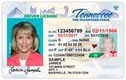 Driver License Example