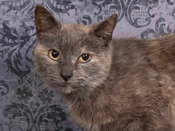 Debbie A235463