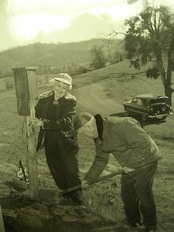 scientist installing bluebird box