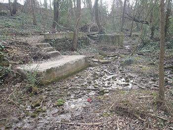 creek in Lockeland Springs