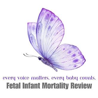 An illustrated purple and blue butterfly is the logo of the Fetal Infant Mortality Review team. The image includes the tagline "Every voice matters. Every baby counts."