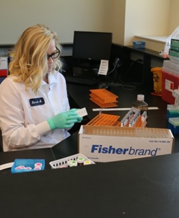 Toxicologist working cases.