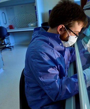 Quantitation of Human and/or Male DNA