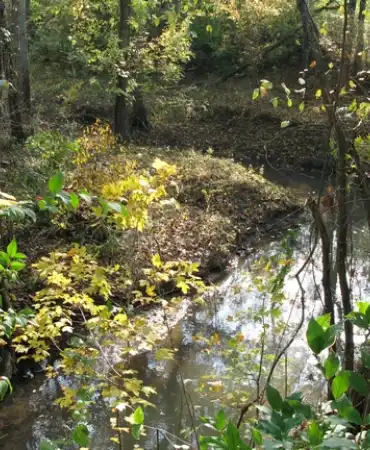 creek