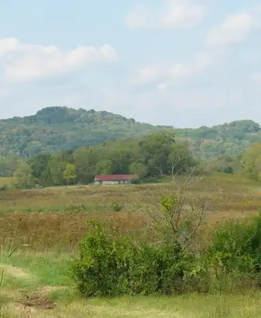 park landscape