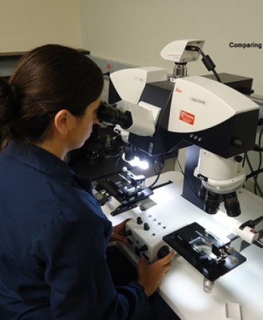 Firearms examiner compares evidence on a comparison microscope.