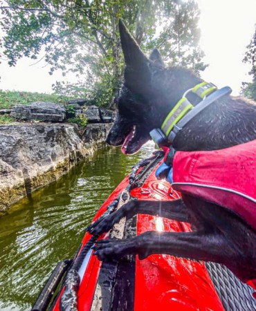 ESU canine on raft