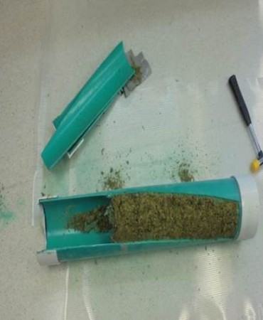 Contents of PVC pipe (Marijuana)