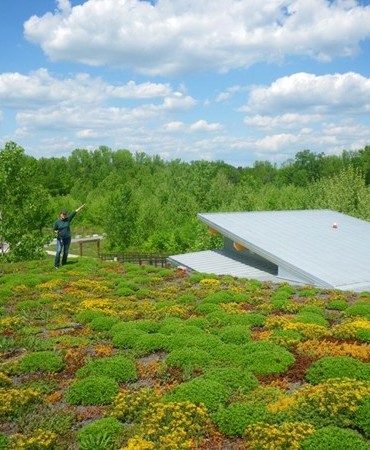 visitor overlooking Nature Center building