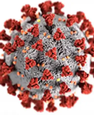 covid-19 representation