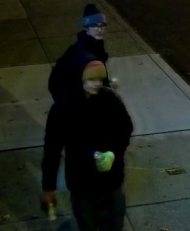 Vandalism suspects