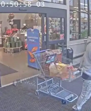 Theft suspect