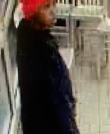 Homicide suspect