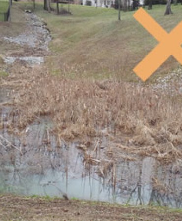 Dry Detention Pond Improperly Maintained