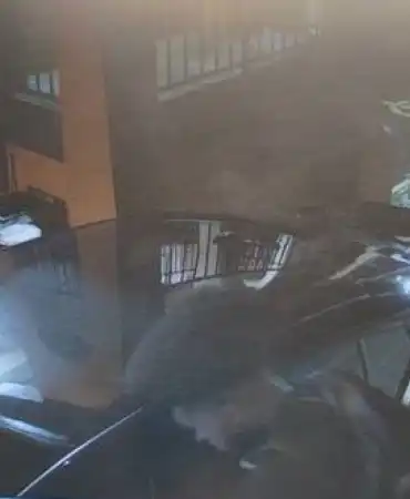 Surveillance of suspect