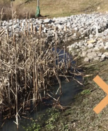 Wet Detention Pond Improperly Maintained