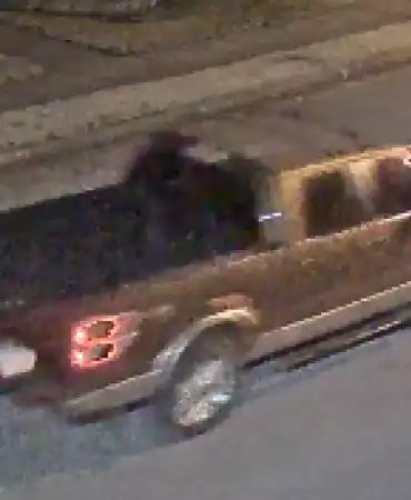 Suspect vehicle