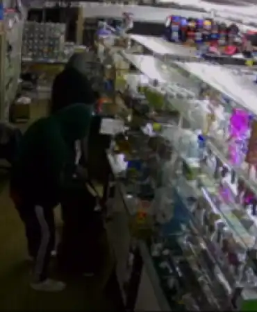 Burglary suspects
