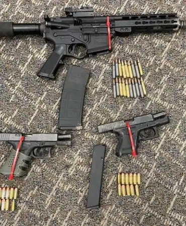 Recovered guns