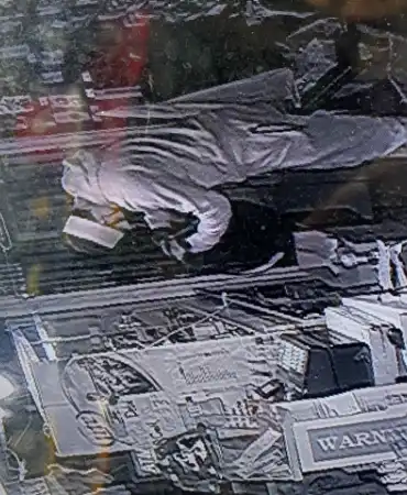 Burglary suspects