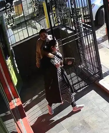 Theft suspects