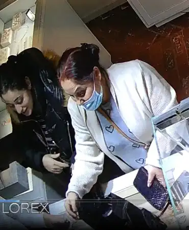 Theft suspects