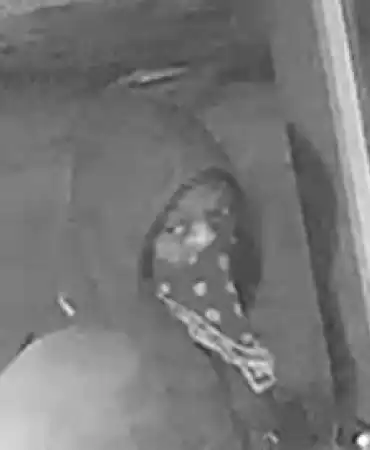Burglary suspect