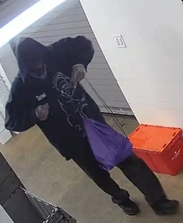 Burglary suspect