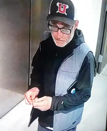 Theft  suspect