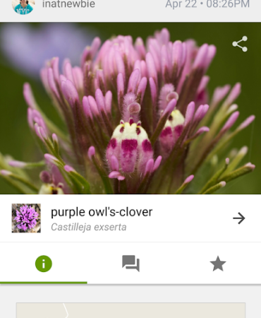 iNaturalist app screenshot