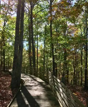 Beaman Park trail