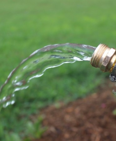watering hose
