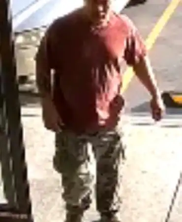 Hit and run suspect