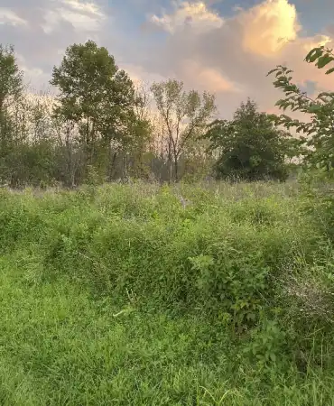 Shelby Park at Dusk