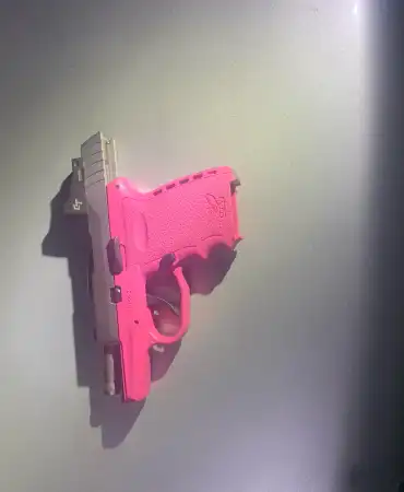 Recovered Gun