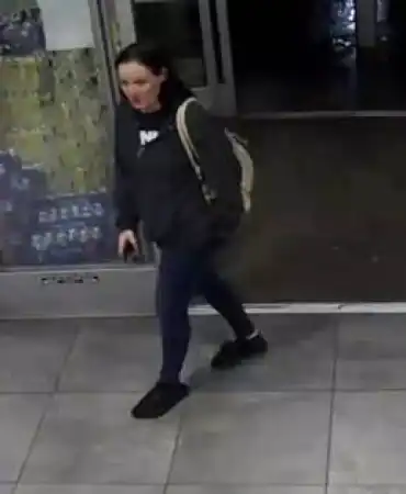 Male suspect