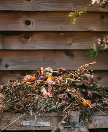 Backyard compost pile