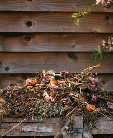 Backyard compost pile