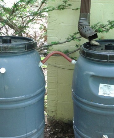 Rain barrels