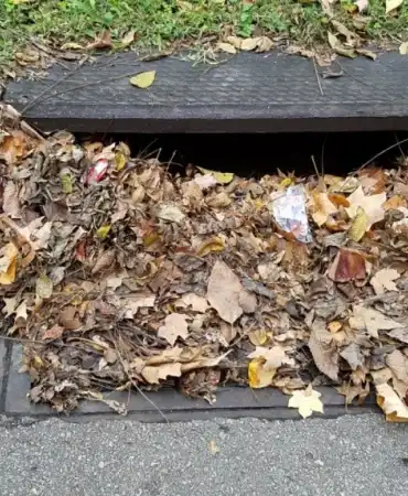 Storm water drains clogged with Fall leaves and other trash can cause flooding and other road hazards