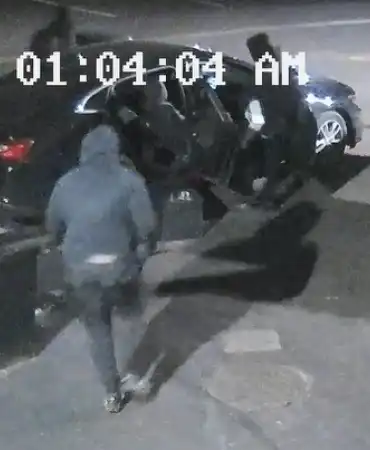 Burglary suspect