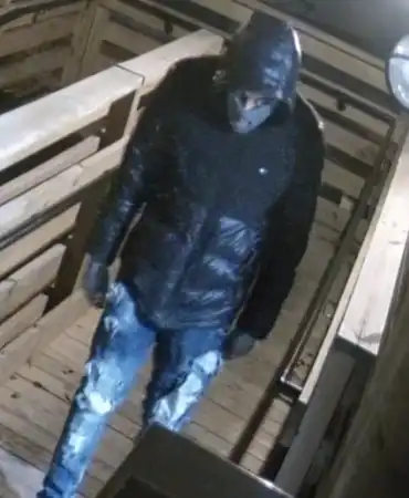 Burglary suspect