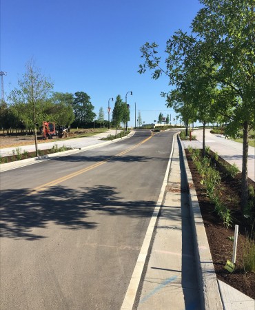 Completion of landscaping looking north on Madison Station Blvd