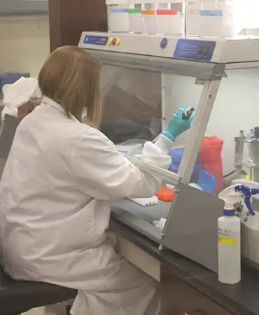 DNA Quantitation