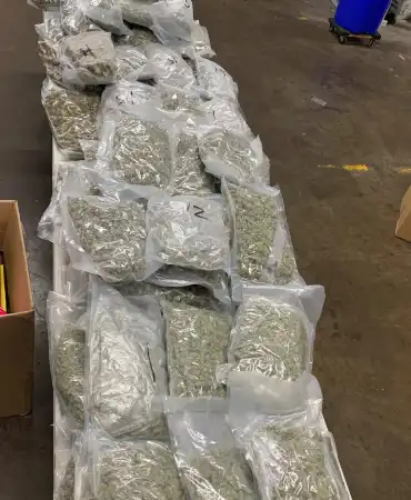 Recovered Marijuana
