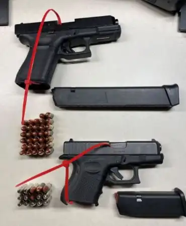 Recovered Guns
